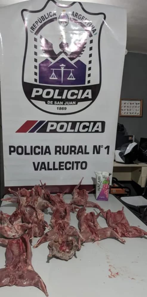 Tres cazadores mendocinos fueron sorprendidos con 10 animales faenados en la Difunta Correa