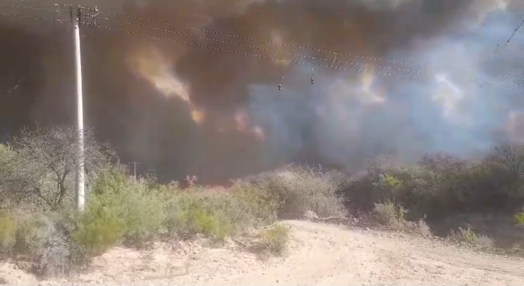 Incendio forestal afectó vegetación y fauna en Valle Fértil