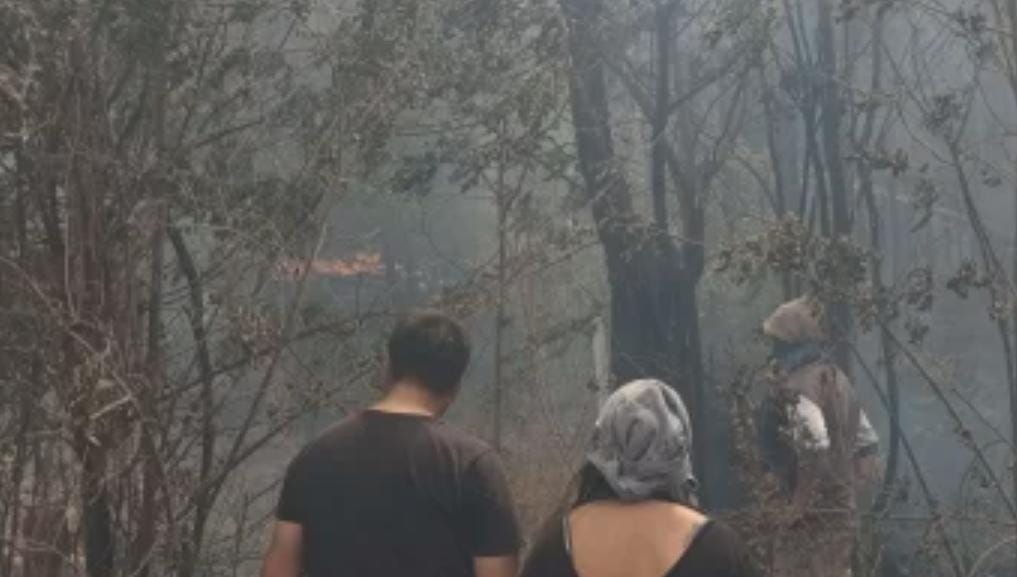 Las Flores: un incendio arrasó con dos viviendas y dejó varias familias afectadas