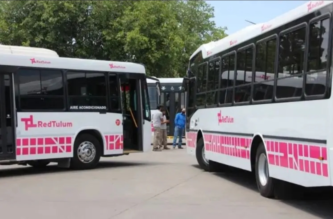 Así serán las disposiciones del servicio de colectivos por Año Nuevo